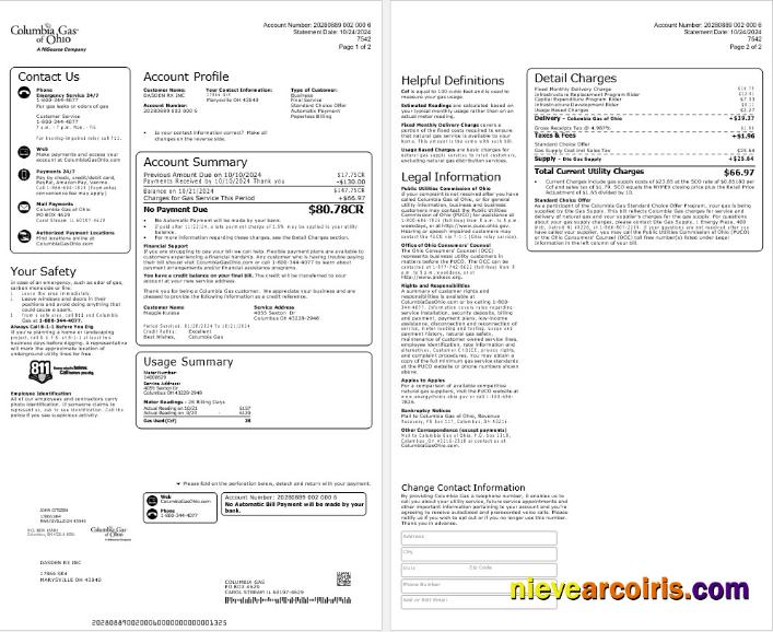 USA COLUMBIA GAS OF OHIO business utility bill